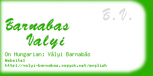 barnabas valyi business card